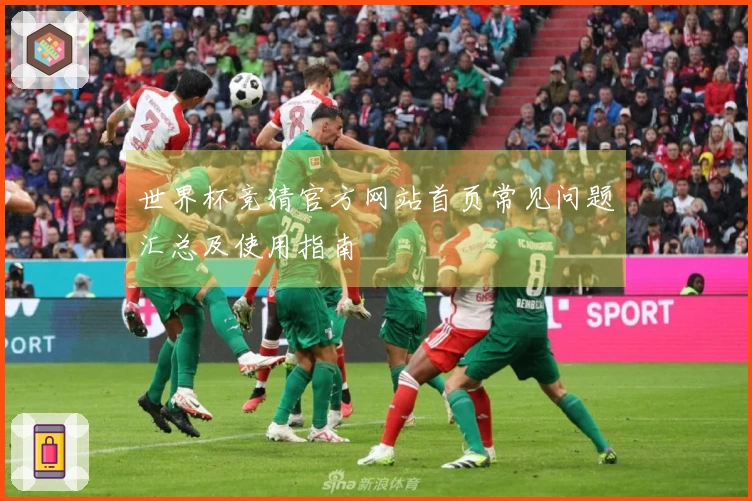 世界杯竞猜官方网站首页常见问题汇总及使用指南