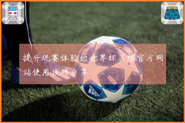 提升观赛体验的世界杯买球官方网站使用技巧分享